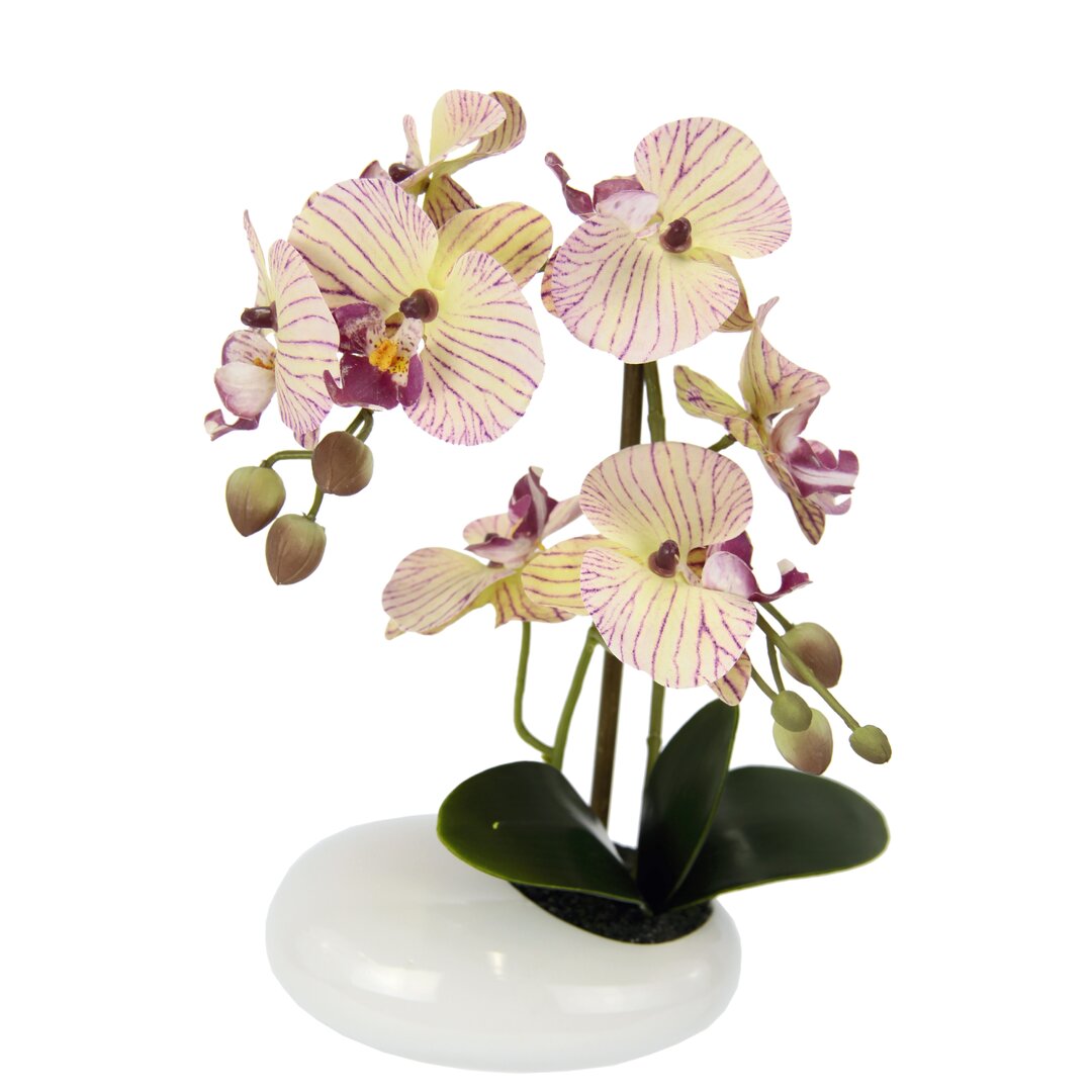 Kunstblume Phalaenopsis