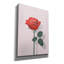 "Epic Graffiti" Rose in Raster "par Andreas Magnusson, art mural sur toile-106171652