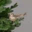 Glittered Birds Clip-On Christmas Ornaments - 7.5" - Gold - Set Of 2