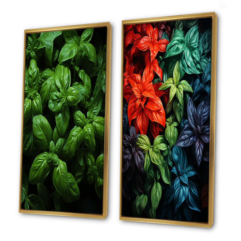 Herbes Basil Vibrance IV - ensemble de 2 reproductions d'art mural Herbes, Cadre flottant doré, H 28 po x l 25 po