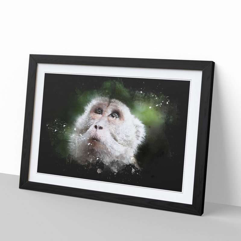 Macaque Monkey - Picture Frame Graphic Art, 48cm H x 65cm W x 2cm D, Black Framed