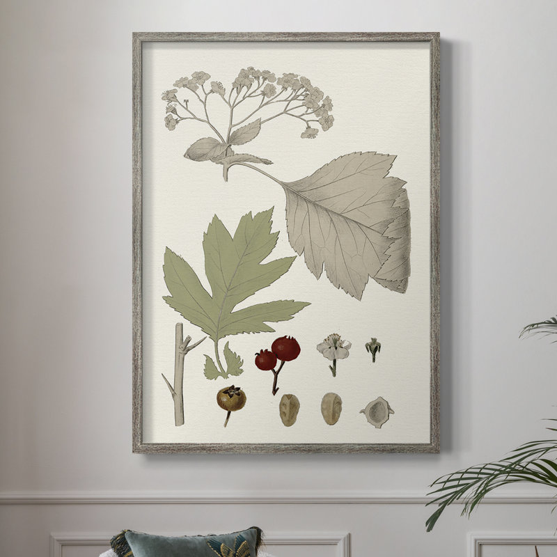 Feuilles et baies II, reproduction encadrée - bois massif, H 11 po x l 9 po