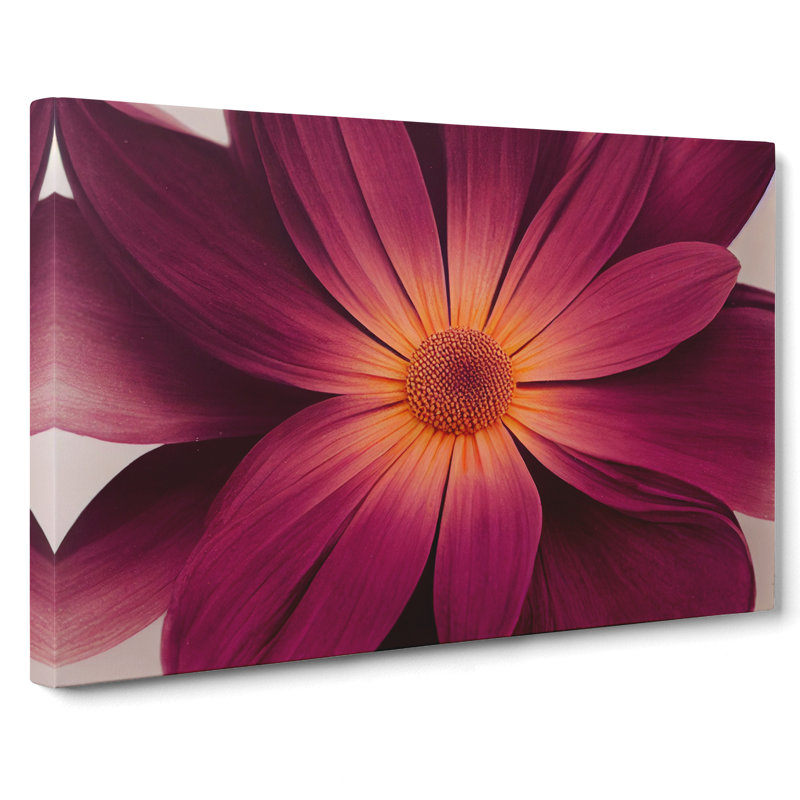 Harmonious Daisy Flower - Wrapped Canvas, 35cm H x 50cm W x 3cm D