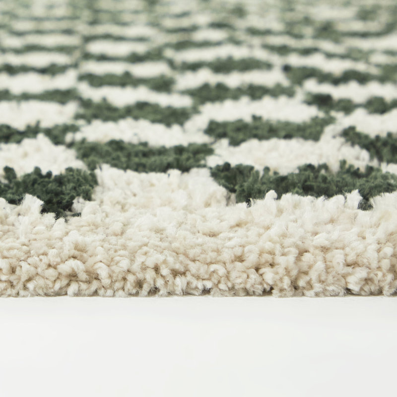 Wingate Checkered Shag Area Rug, Rectangle 7'10" x 10', Green