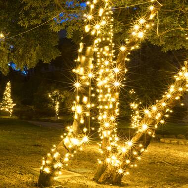 50 strand white christmas lights