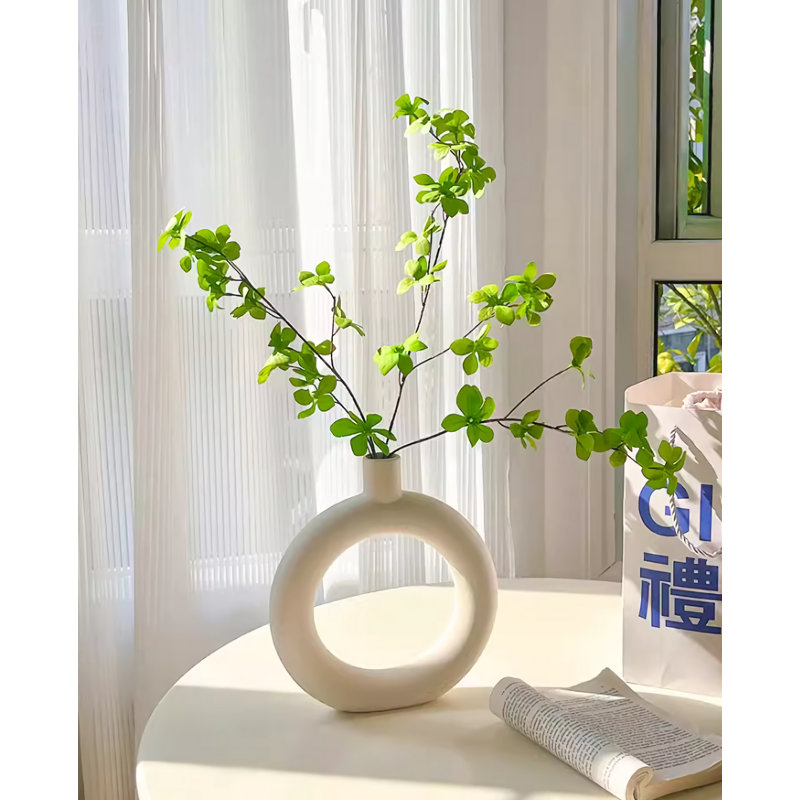 Marcai 9,65 plante
