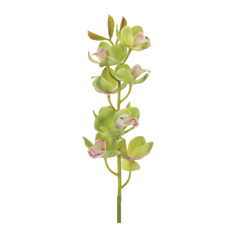 Tige de fleur d'orchidée cymbidium (ensemble de 2)