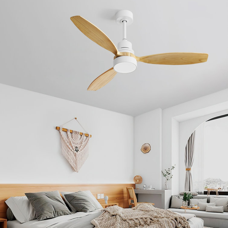 Motasim 52'' Ceiling Fan with LED Lights