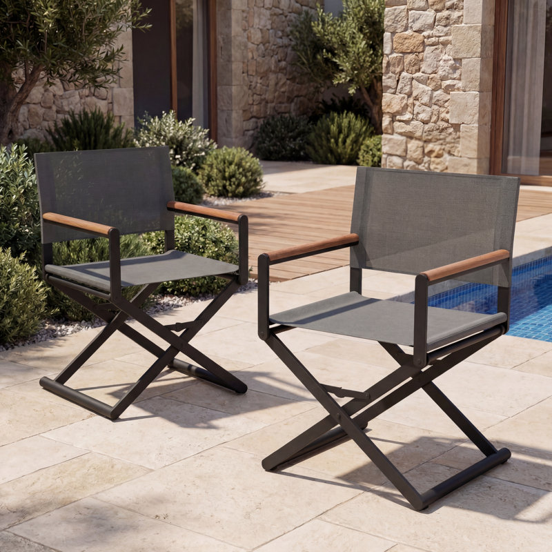 Siepie Folding Director Chair, Black
