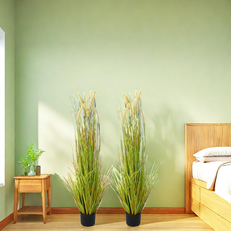 Andin 120cm Plant