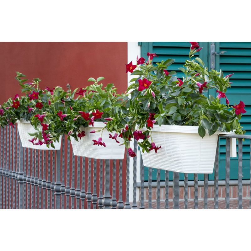 Jardinière en plastique à auto-arrosage, Blanc