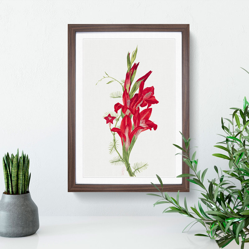 Cannas and Cypress Vine by Mary Vaux Walcott - Picture Frame Painting, 36cm H x 27cm W x 2cm D, Walnut Framed