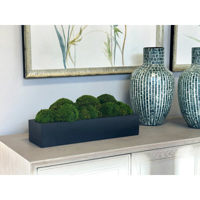Nature's Nostalgia Preserved Moss in Fiberstone Planter