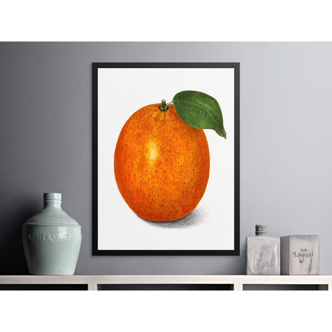 No Frame Print