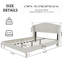 Beige Velvet Upholstered Queen Size Bed Frame, Stable Design, Headboard For A Comfortable Bedroom Ambiance Creation Bed, Design Restful Sleep, Adds Elegant Touch-130155805
