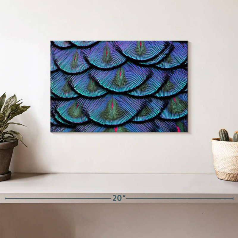 Peacock Tail Feathers, 8" H x 12" W