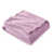 Lilas est en rupture de stock