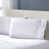 Eggshell White selected