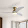 Nicola 52" 3 - Blade LED Standard Ceiling Fan with Remote Control and Light Kit Included