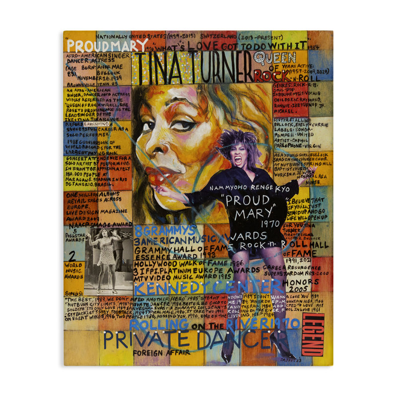 "Tina Turner", art mural sur toile par Sabin, H 48 po x l 36 po