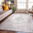 Labarbera Vintage Machine Washable Beige Non-Slip Backing Area Rug-22366711