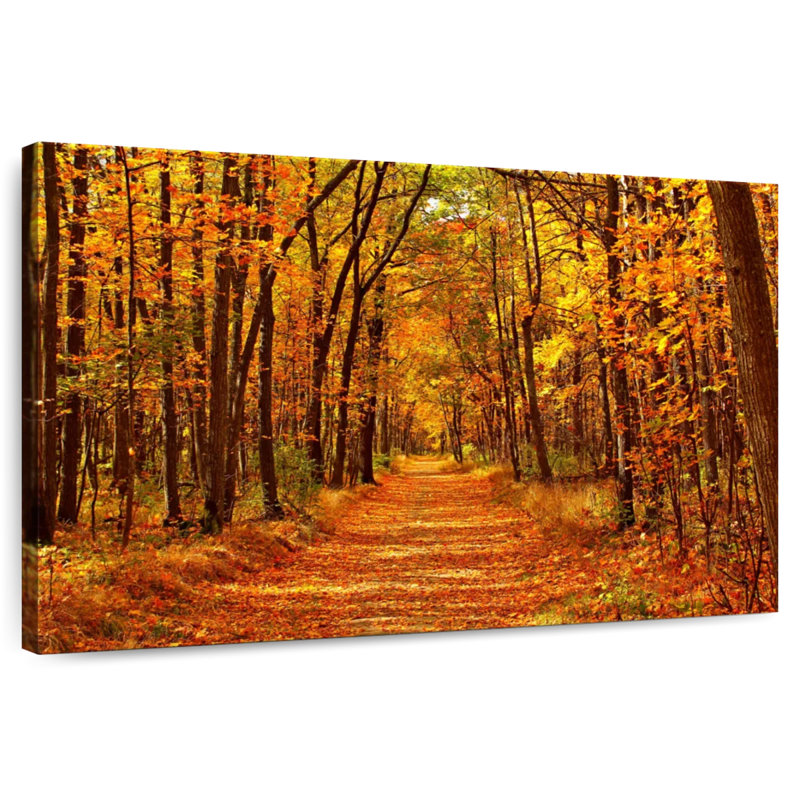 Alvord Maple Forest Pathway, 26" H x 39" W