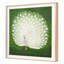 White Peacock Print by Grand Archives-1163422956-1163422955