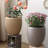Comtemporary Swirl Planter-711357890