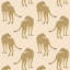 Prowling Cheetah - Desert Sand Wallpaper