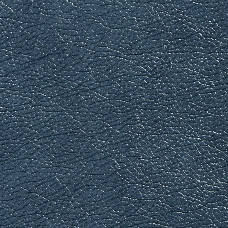Emu lisse, Bleu sarcelle