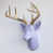 Lavender/Gold