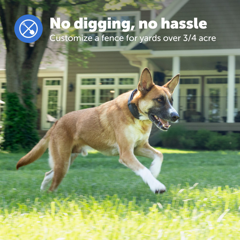 Petsafe Guardian Gps Dog Fence