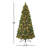 78' Lighted Pine Christmas Tree