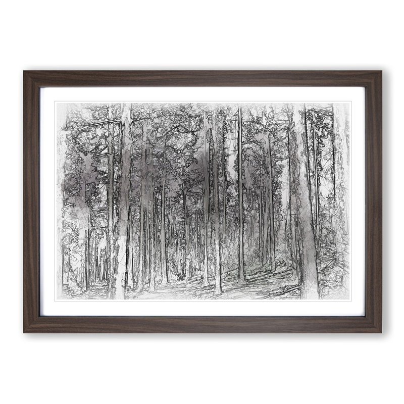 Pretty Forest Sketch - Picture Frame Graphic Art Print, 45cm H x 63cm W x 2cm D, Walnut Framed