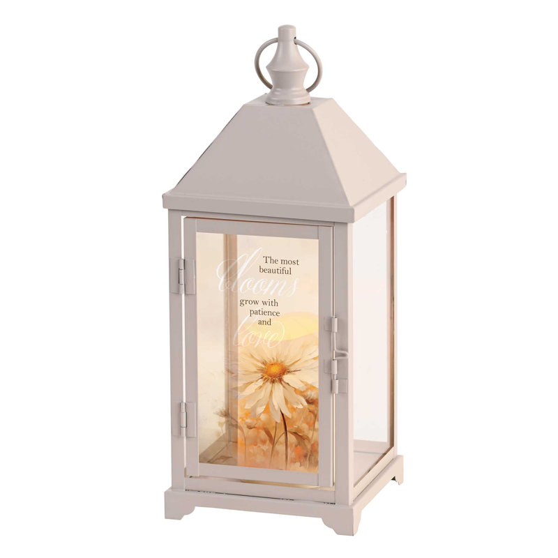 Lantern Most Beautiful Blooms