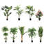 Plant-810409947