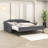 Nollet Full / Double Daybed with Trundle