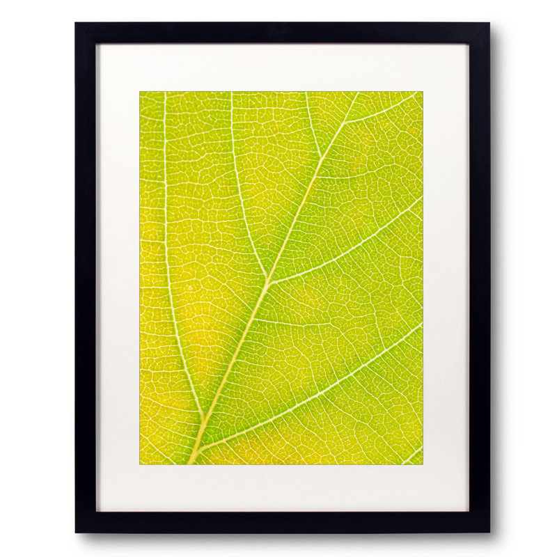 " Autumn Leaf " by Philippe Monthoux, Black Framed Paper, 20" H x 16" W