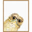 «Owl in Glasses» par Mercedes Lopez Charro - reproduction d'art sur cadre flottant-1651092519