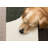 Mentko Modern Green Cream Low-Pile High-Traffic Area Rug-681892094
