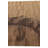 Parrett Beige Rug