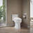 Purewashe860 Elongated Bidet Toilet Seat With Remote Control