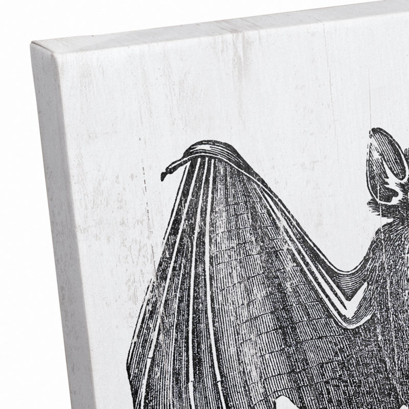«Vampire Bat», reproduction sur toile