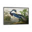 «Wick Louisiana Heron» par John James Audubon, reproduction sur toile-1020675319-1020675304-1046093000