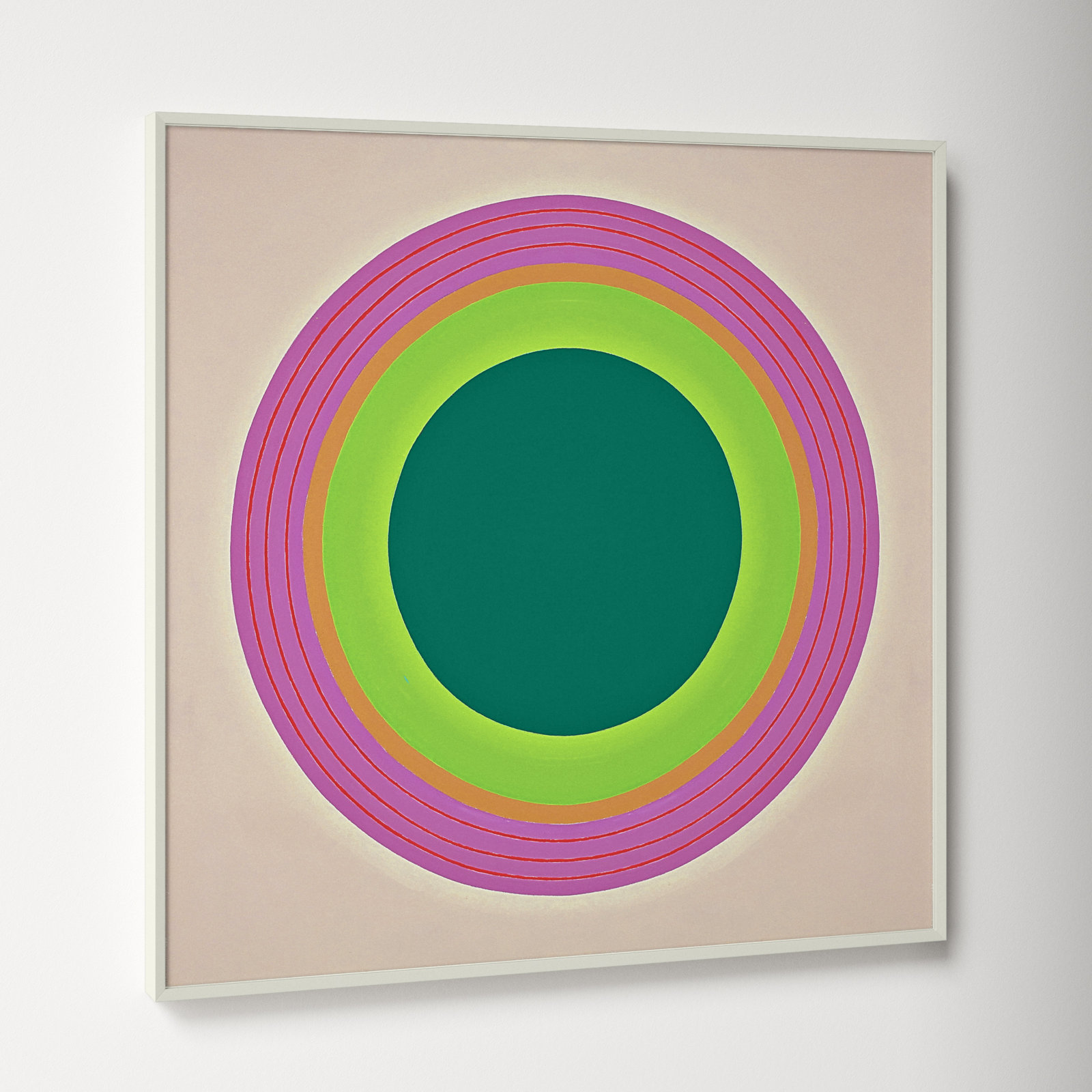 Colorful Circles by Soicher Marin Archives