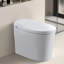 Tankless Smart Toilet With Bidet Built In, One-Piece, Auto Flush, Auto Open/Close,Heated Seat, Bubble Wash,Warm Water And Dry, Adjustable Temp,Remote Control Side Know