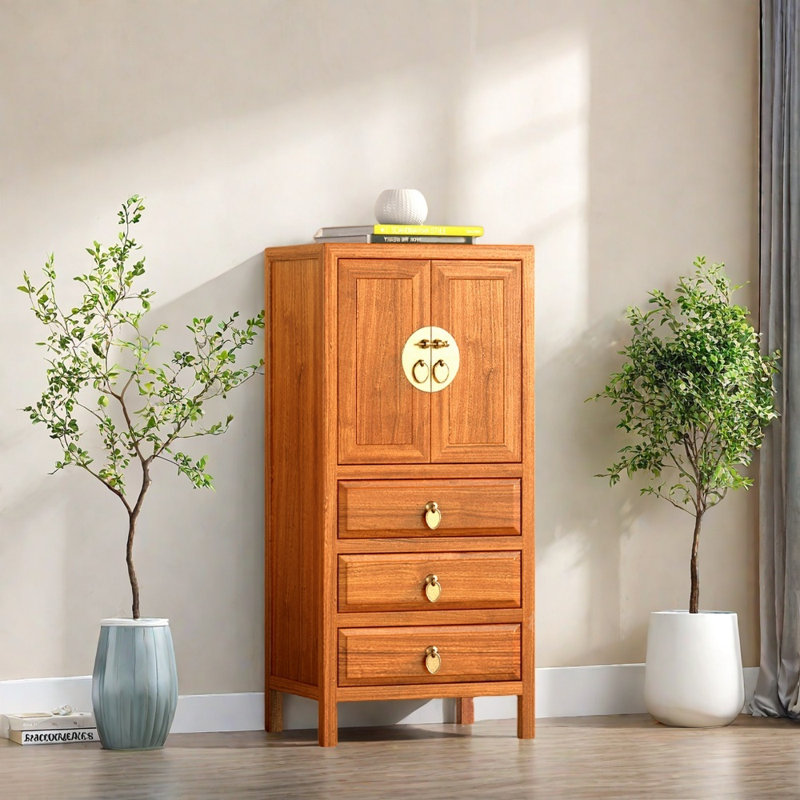 Armoire d'entrée en bois de camphre massif, Bois brun