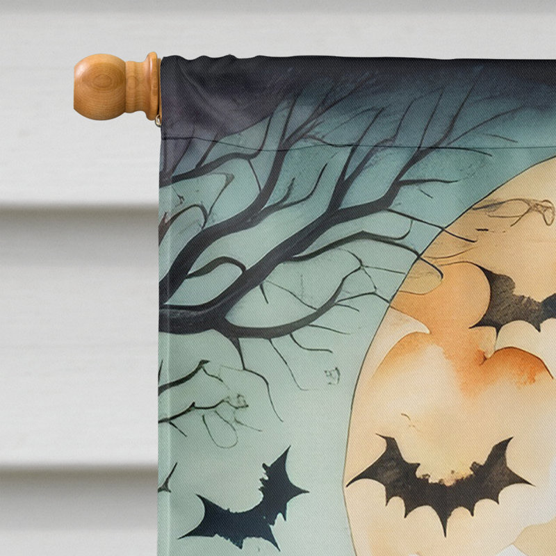 Double Sided 40'' H x 28'' W Polyester Halloween House Flag
