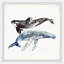 Impression encadrée «The Big Whales» par Healdton-951204657