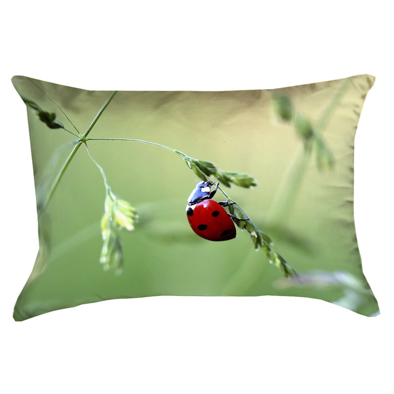 Coussin Myriam